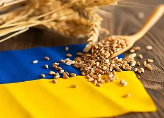 Експорт зернових з України у 2025 році скоротився на 3,8 млн тонн