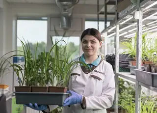 Чого не вистачало рослинам у 2025 році?