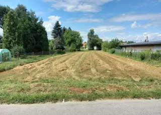 Стало відомо, як законно використовувати частину чужої земельної ділянки та уникнути спорів