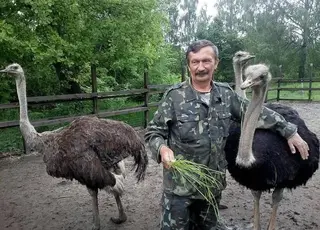 Історія Олександра Володька: страусина ферма на родовому хуторі Чернігівщини