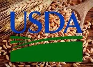 USDA знизило прогноз експорту пшениці з України до 12,5 млн т