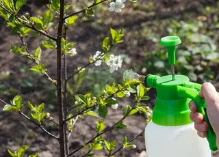 Більше 200 засобів захисту рослин та добрив отримали державну реєстрацію