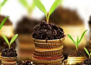 Для агровиробників визначено коефіцієнт індексації нормативної грошової оцінки на 2026 р