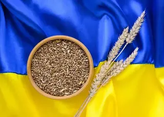 Україна від початку сезону експортувала 40 млн т зерна