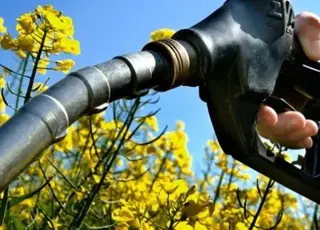 Канада інвестує 370 млн доларів у розвиток біопалива та підтримку ріпакової галузі