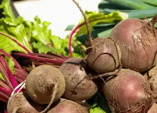 Стало відомо, як змінилися ціни на столові буряки в Україні