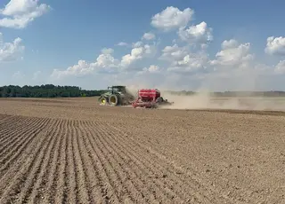 Українські аграрії засіяли понад 1,2 млн га ярих зернових