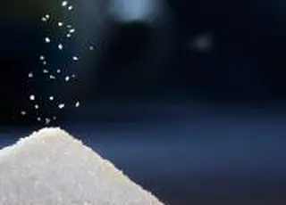 Україна збільшила автоперевезення агропродукції на всіх кордонах — лідирують цукор і олія