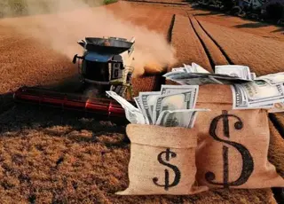 Ринок землі: ціни в Україні за рік зросли майже на 13%