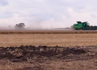 За 2025 р аграрії Херсонщини втратили майже 60 тис га посівів