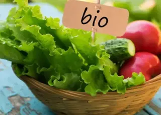 Європа купує 93% українських органічних продуктів