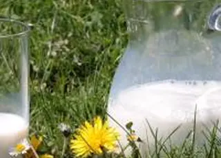 Фінансова допомога молочним фермам: за ініціативи АВМ уряд звернувся до ЄС