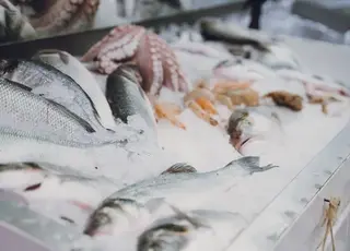 Середня ціна мороженої риби у травні зросла до 194 гривень за кілограм