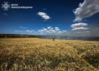 На Миколаївщині понад 520 га зернових знищив вогонь за добу