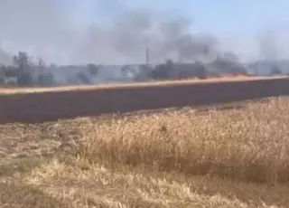 Донецькі аграрії втрачають урожай через бойові дії та пожежі на полях