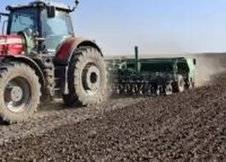 Tekom Agro Group завершила сівбу сочевиці на площі близько 1000 га