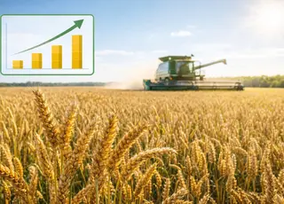 Чому середня урожайність по району має значення для податкової: як це впливає на реєстрацію накладних