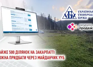 Майже 500 ділянок на Закарпатті можна придбати через майданчик УУБ 