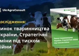 Новий аналітичний звіт про стан та перспективи тваринництва України під час війни