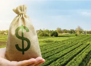 Земля у власності не весь рік: як розрахувати мінімальне податкове зобов’язання