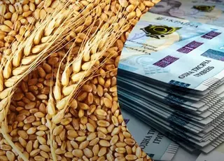 Озвучено оновлені ціни на зернові в Україні