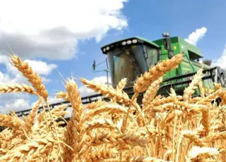 В Україні аграрії зібрали майже 48 млн т зернових культур