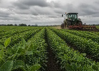 Чому зниження МПЗ вигідне для місцевих громад України