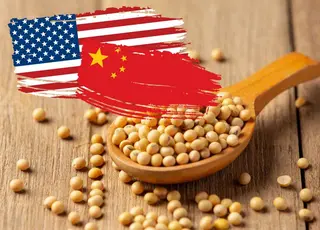 Перспективи торгівлі соєю між США та Китаєм посилюють надії американських фермерів