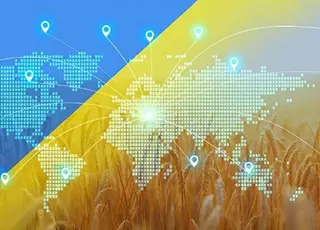 Мінімальні ціни на експорт агропродукції в Україні визначено на травень 2025 року