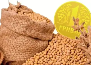 Ціни на сою в Україні падають через надлишок продукції з Південної Америки