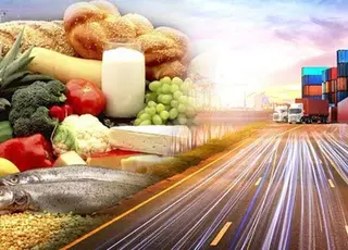 Для швидкопсувної агропродукції запровадили єдині правила пріоритетного перетину кордону