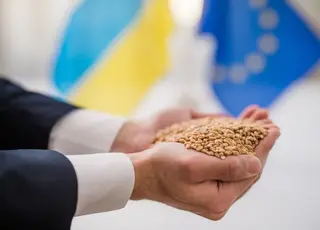 Україна зобов’язалась досягти аграрних стандартів ЄС до 2028 р