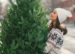 Стало відомо, по якій ціні продаватимуть ялинки