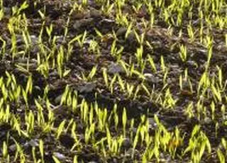 Україна відкрила перший агрохаб в Африці