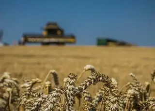 АМКУ дозволив «Астарті» придбати два агропідприємства на Полтавщині