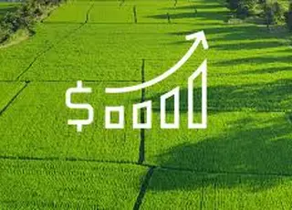 В Україні прогнозують подорожчання землі