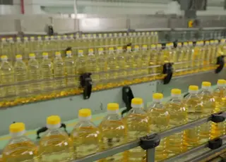 ЄС у 2024/25 МР скоротив імпорт 4 основних видів олії до мінімального рівня за кілька років