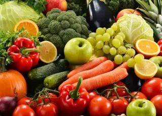 ЄС запроваджує квоти: нові виклики для українських аграріїв та експорту
