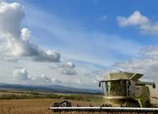 Нестабільна врожайність і зміни в посівних площах: які культури втратять найбільше в 2025/26 МР
