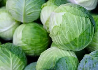 В Україні подешевшала капуста