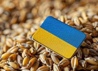 Експорт зернових з України зменшився на 37% у 2025/26 маркетинговому році