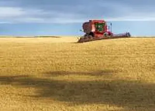 У червні Україна експортувала 4,8 млн тонн агропродукції