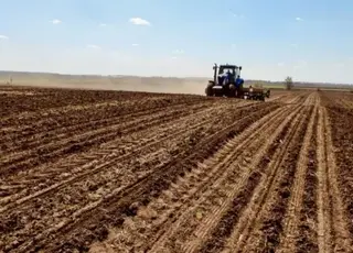 На Житомирщині затримується посів ранніх зернових культур