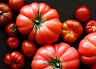 У ЄС створили відкриту генетичну базу томатів