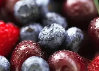 Ягідники України втрачають урожай через нові кліматичні реалії