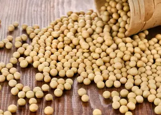Аграрії закликають владу невідкладно розв’язати проблеми з експортом сої та ріпаку