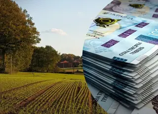 Заповіт на землю: типові помилки, які можуть дорого коштувати