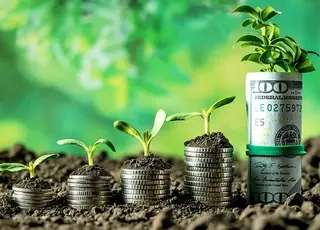 Стало відомо, які програми підтримки фермерів можуть не отримати фінансування у 2026 році