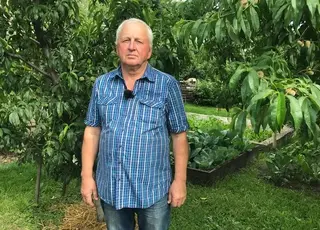 Садівник із Житомира вирощує рідкісний сорт інжирного персику