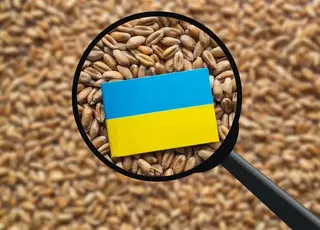 Аграріям прогнозують подорожчання виробництва до 20%